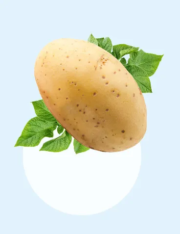 Картофель